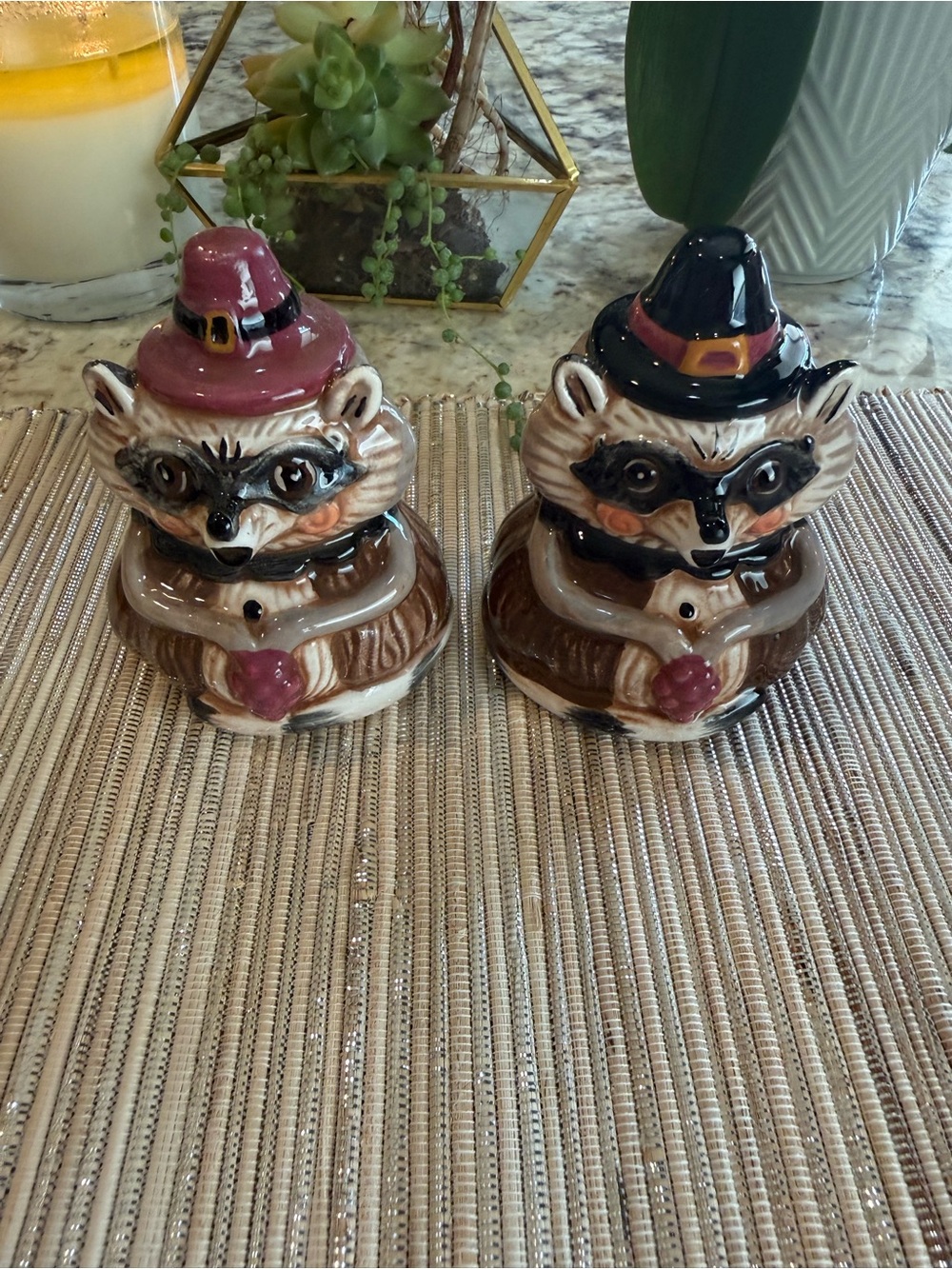 NEW Johanna Parker Ceramic Raccoon Salt and Pepper Shakers 3.5” Fall 2026